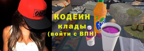 прущие крисы Кулебаки