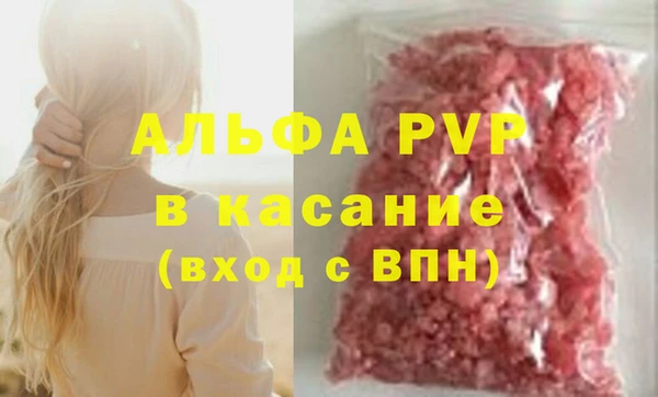 PSILOCYBIN Кукмор