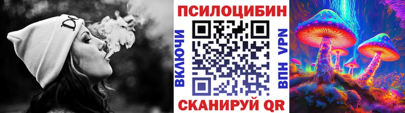 Купить где  Гремячинск  Галлюциногенные грибы прущие грибы 
